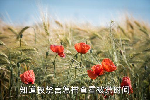 知道被禁言怎样查看被禁时间