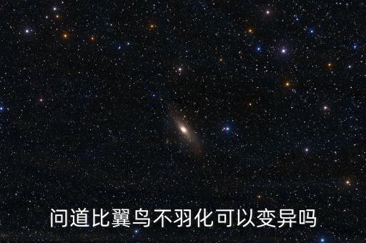 问道比翼鸟不羽化可以变异吗