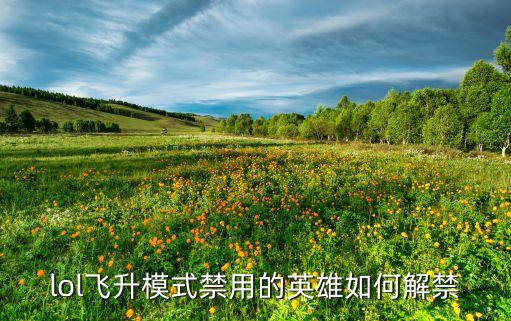 lol飞升模式禁用的英雄如何解禁