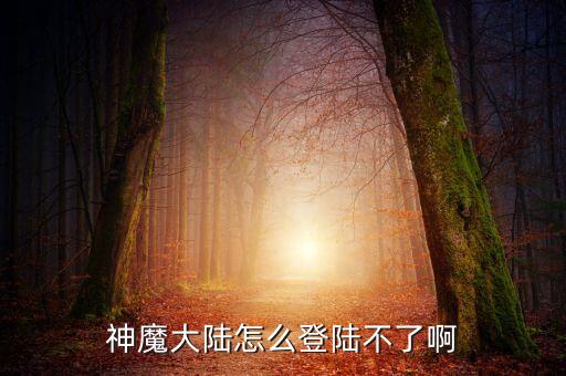 神魔大陆怎么登陆不了啊