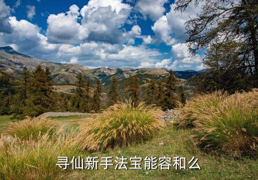 寻仙新手法宝能容和么
