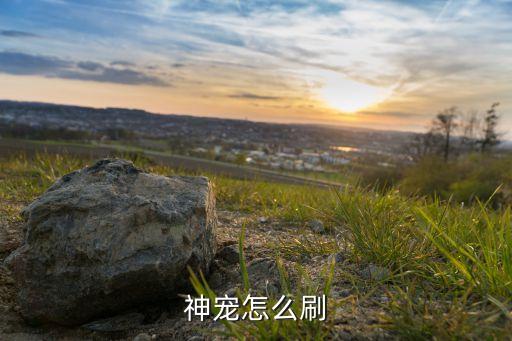 神宠怎么刷