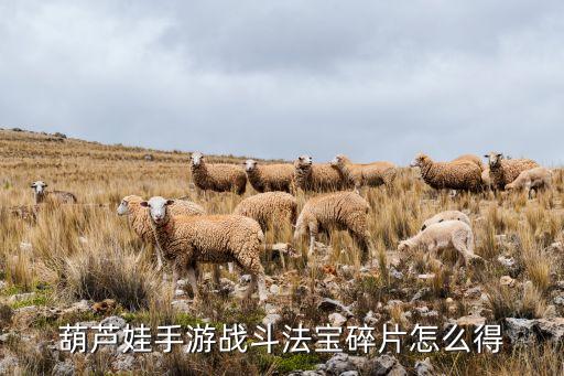 葫芦娃手游碎片怎么找，葫芦娃游戏中爷爷的碎片要怎么获得