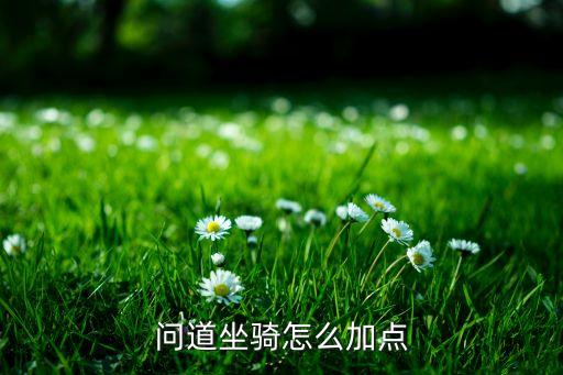 问道坐骑怎么加点