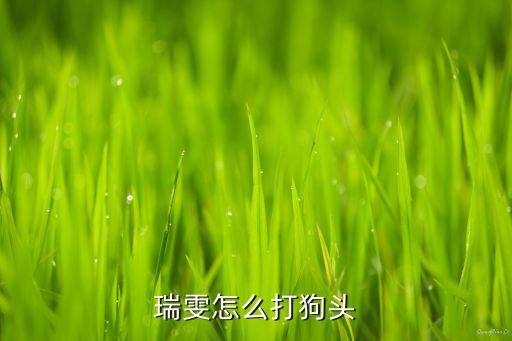 瑞雯怎么打狗头