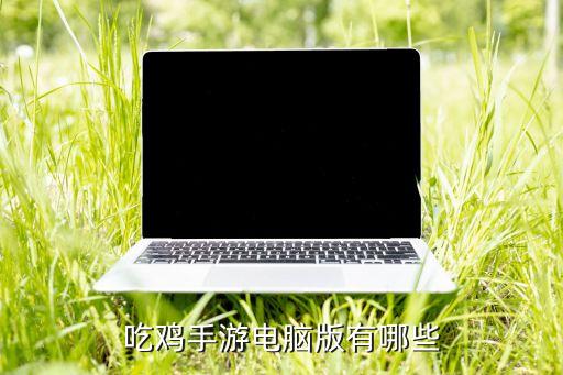 吃鸡手游电脑版有哪些