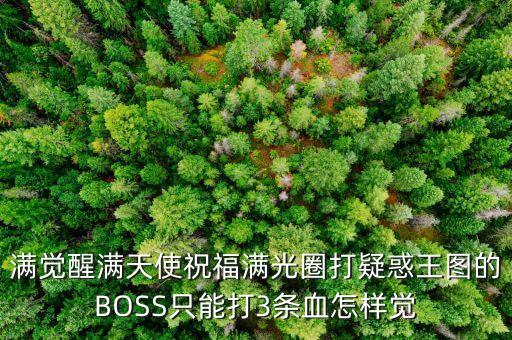 满觉醒满天使祝福满光圈打疑惑王图的BOSS只能打3条血怎样觉