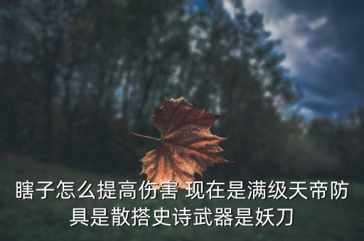 dnf手游瞎子怎么提升攻击，DNF瞎子怎么提高伤害