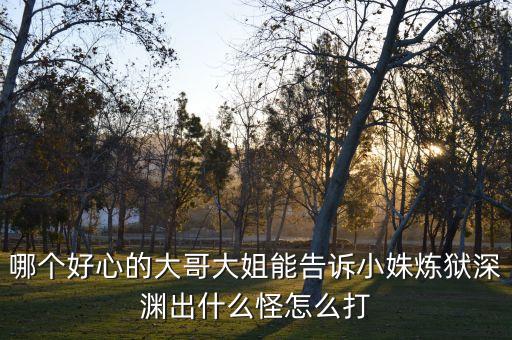 哪个好心的大哥大姐能告诉小姝炼狱深渊出什么怪怎么打