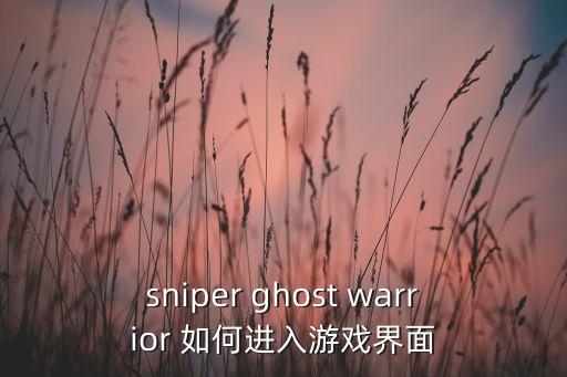 sniper ghost warrior 如何进入游戏界面
