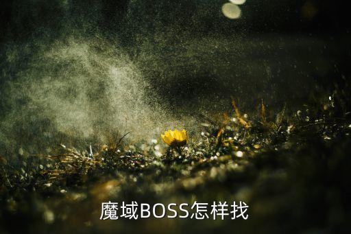 魔域正版手游怎么找boss，魔域BOSS怎样找