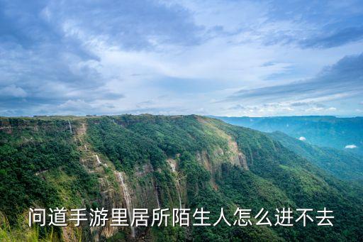 问道手游里居所陌生人怎么进不去