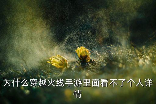 为什么穿越火线手游里面看不了个人详情
