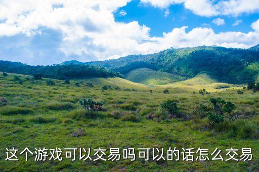 这个游戏可以交易吗可以的话怎么交易