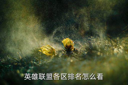 英雄联盟各区排名怎么看