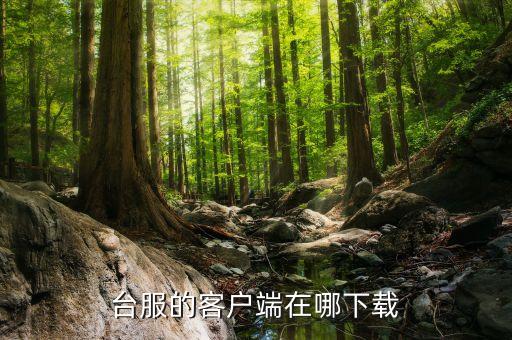台服的客户端在哪下载