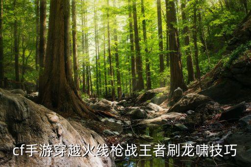 手游穿越火线中龙啸怎么获得，cf手游穿越火线枪战王者刷龙啸技巧