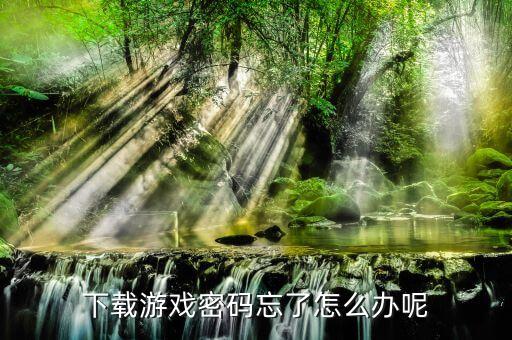 下载游戏密码忘了怎么办呢
