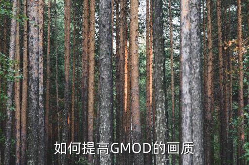 如何提高GMOD的画质