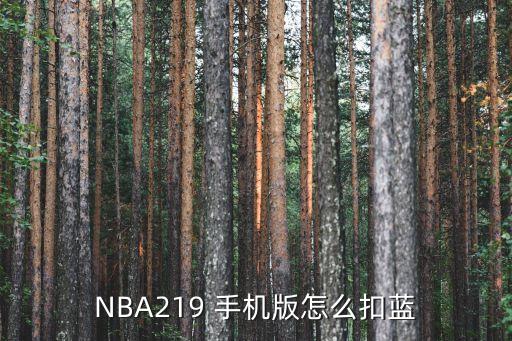 NBA219 手机版怎么扣蓝