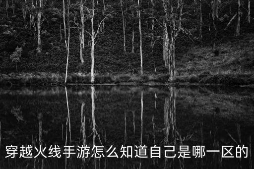穿越火线手游怎么知道自己是哪一区的