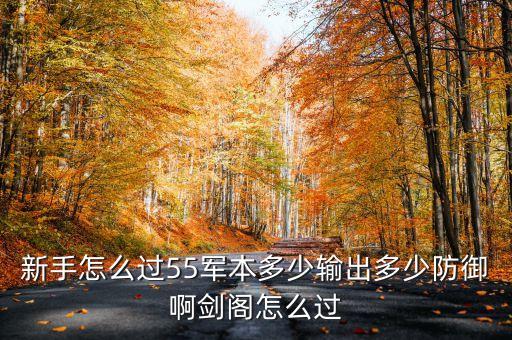 dnf韩服手游55团本怎么打，新手怎么过55军本多少输出多少防御啊剑阁怎么过