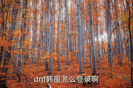 手游dnf韩服官网怎么登录，dnf韩服怎么登录啊