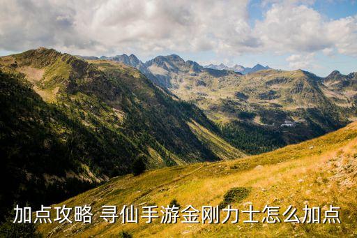 加点攻略 寻仙手游金刚力士怎么加点
