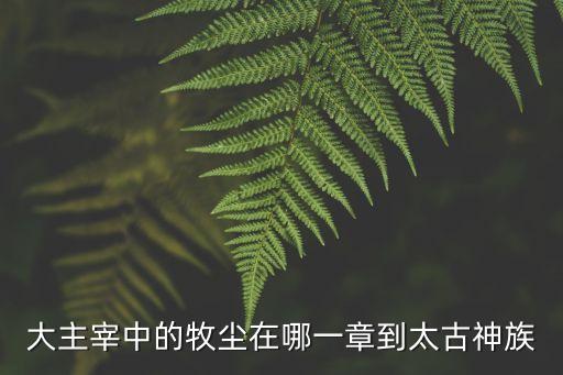 大主宰中的牧尘在哪一章到太古神族