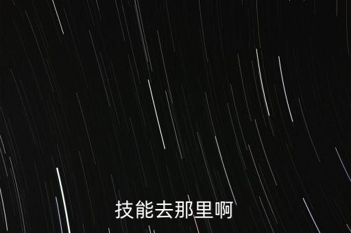 技能去那里啊