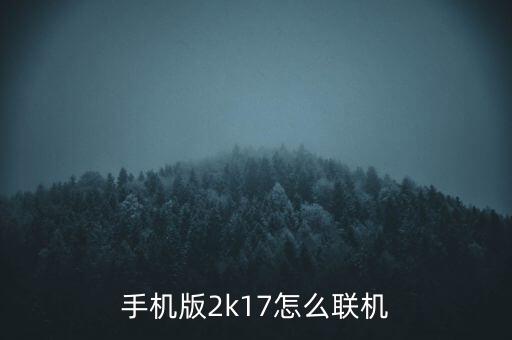 手机版2k17怎么联机