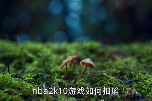 nba2k10游戏如何扣篮