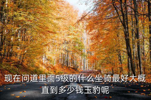 问道手游玉豹怎么不值钱了，问道5级坐骑玉豹多少钱