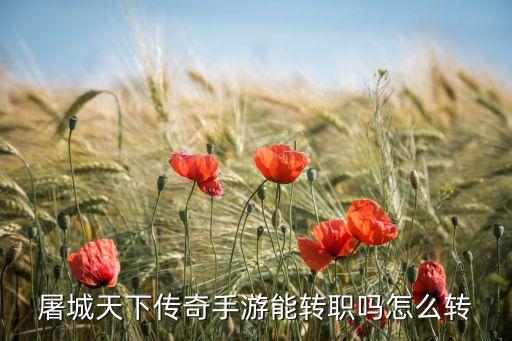 暗黑不朽手游怎么转属性，社区的游戏怎么样换成属性点