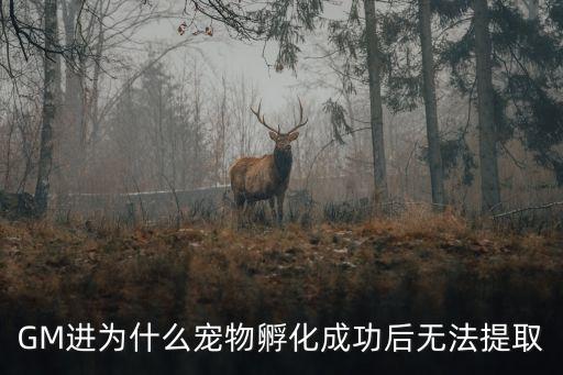 GM进为什么宠物孵化成功后无法提取