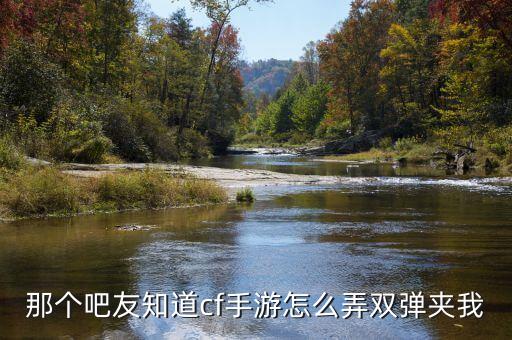 那个吧友知道cf手游怎么弄双弹夹我