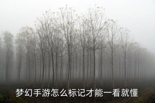 梦幻手游怎么标记才能一看就懂