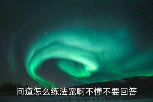 问道怎么练法宠啊不懂不要回答