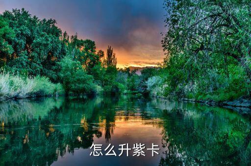 怎么升紫卡
