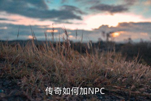 传奇如何加NPC