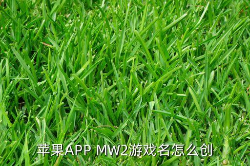 苹果APP MW2游戏名怎么创