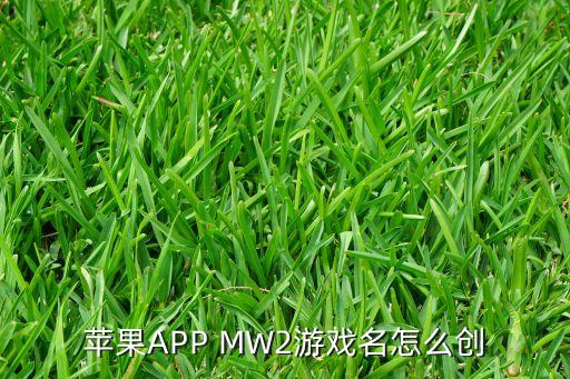 苹果APP MW2游戏名怎么创