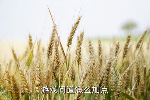 游戏问道怎么加点