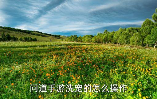 问道手游洗宠的怎么操作