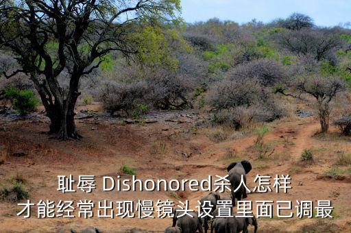 耻辱 Dishonored杀人怎样才能经常出现慢镜头设置里面已调最