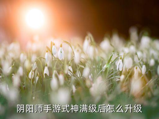 阴阳师手游怎么升级最新版，阴阳师手游式神满级后怎么升级