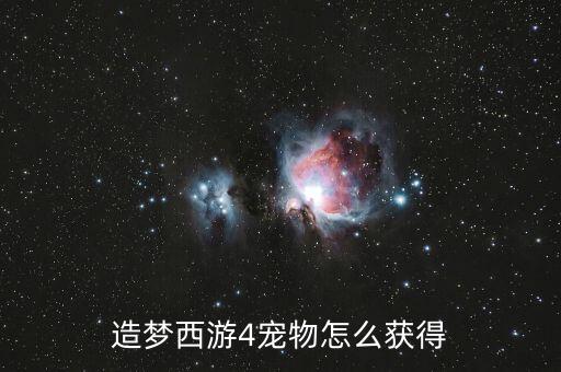 造梦西游四手游版宠物怎么抓，造梦西游4宠物怎么获得