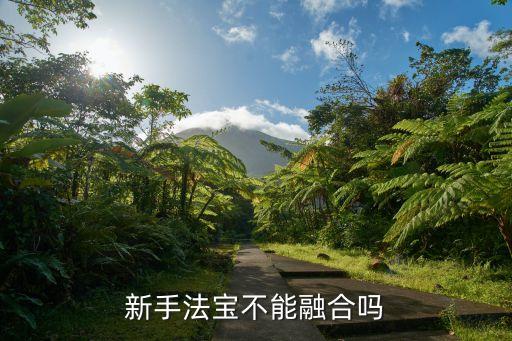 手游寻仙法宝怎么融合，新手法宝不能融合吗
