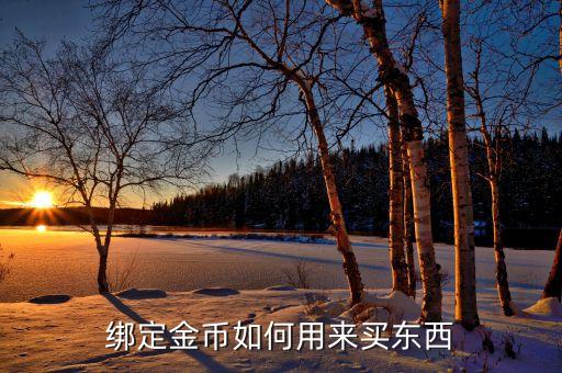 绑定金币如何用来买东西