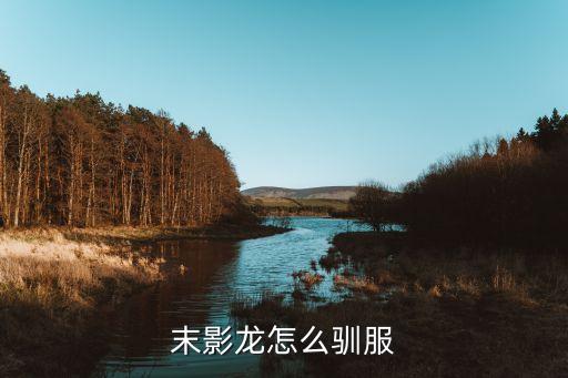 末影龙怎么驯服